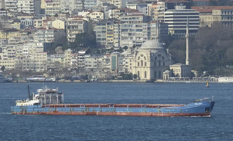 PALLADIY General Cargo IMO 8856261 photo 8