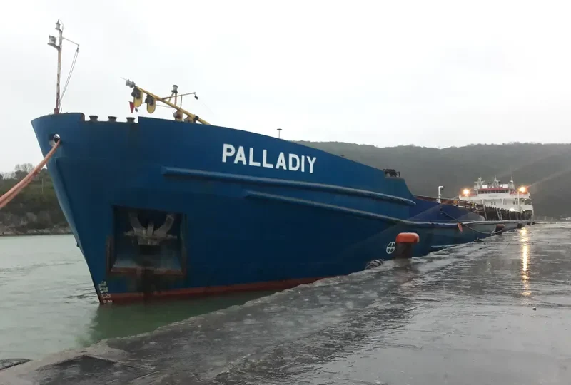PALLADIY General Cargo IMO 8856261 photo 9
