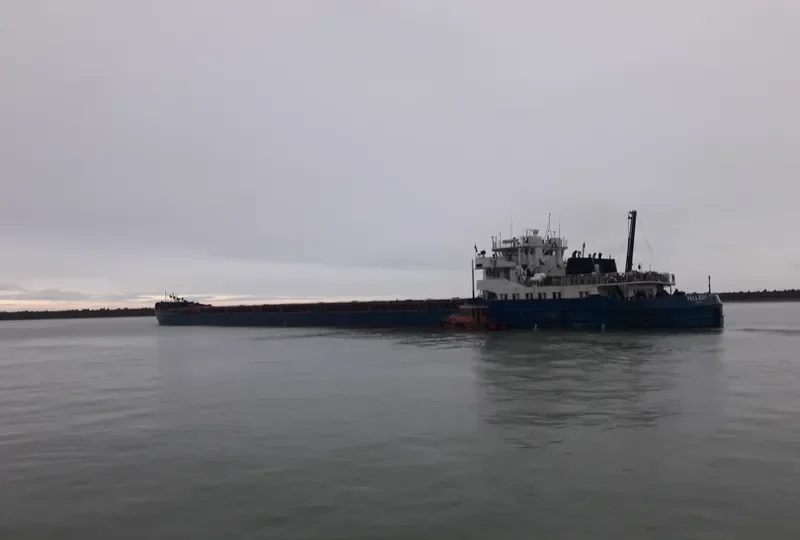 PALLADIY General Cargo IMO 8856261 photo 10