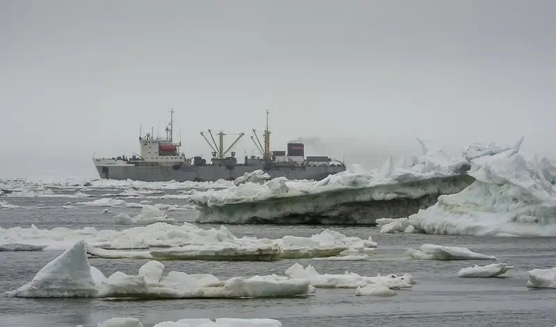 ZALIV VOSTOK General Cargo IMO 8857007 photo 2