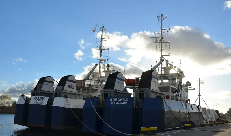 BORGHILD General Cargo IMO 8857136