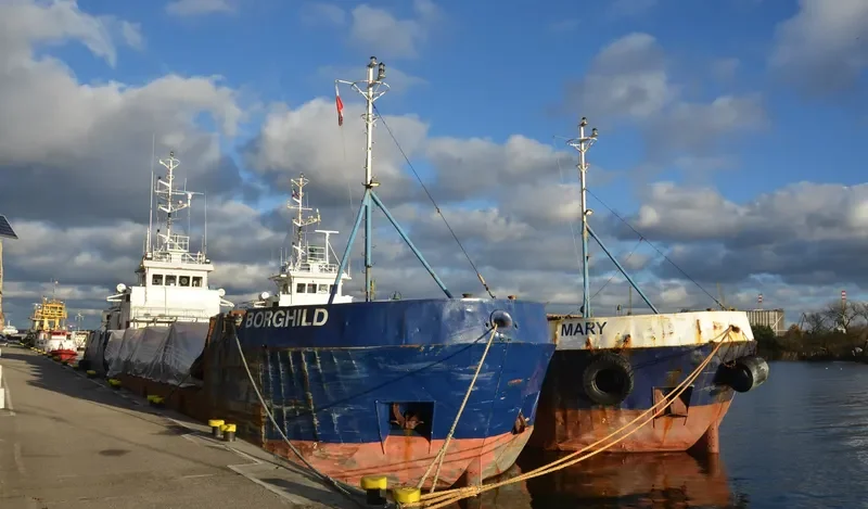 BORGHILD General Cargo IMO 8857136 photo 2