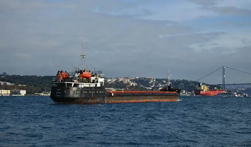 NEW WAY General Cargo IMO 8857693 photo 9