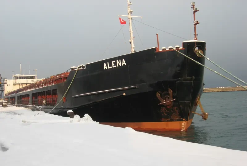 ALENA General Cargo IMO 8857772 photo 7