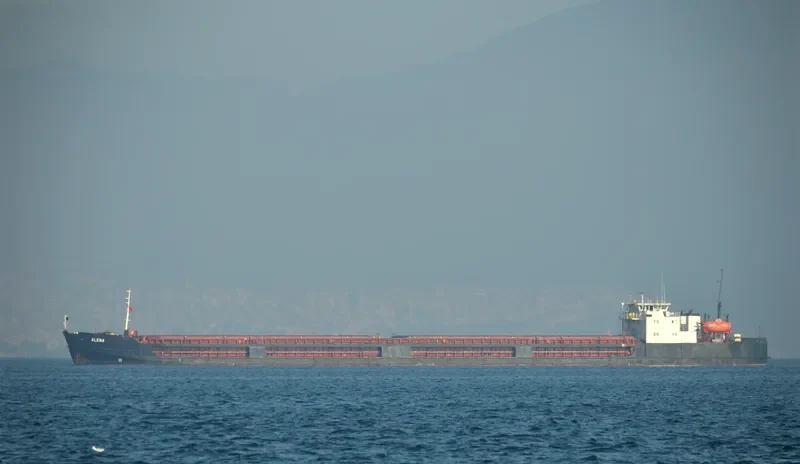 ALENA General Cargo IMO 8857772 photo 10