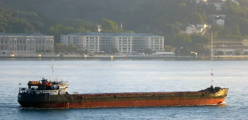 LIME General Cargo IMO 8857954 photo 6