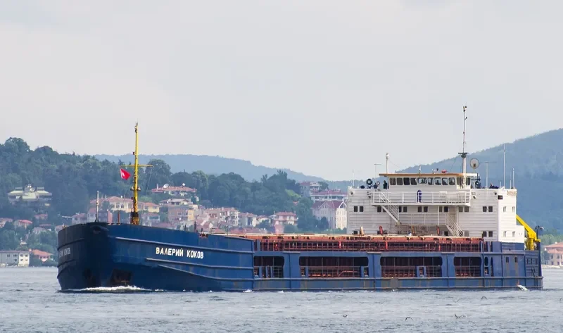 VALERY KOKOV General Cargo IMO 8859328 photo 5