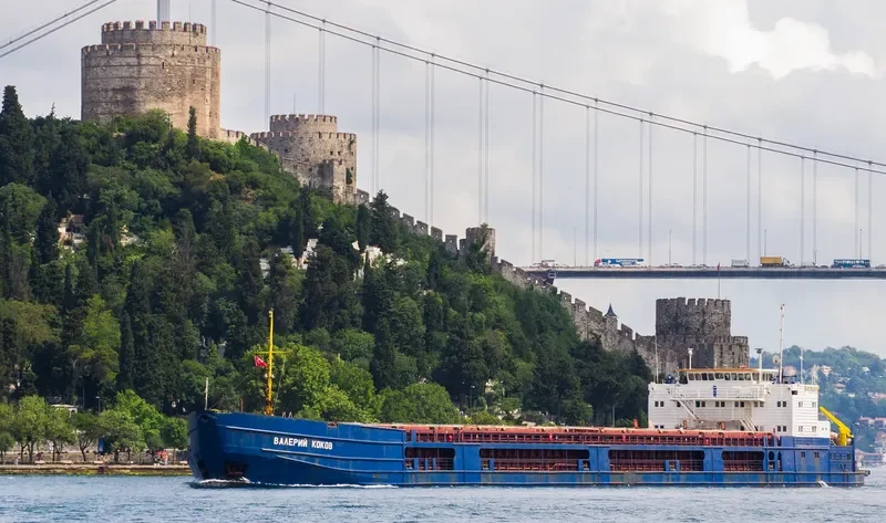 VALERY KOKOV General Cargo IMO 8859328 photo 6
