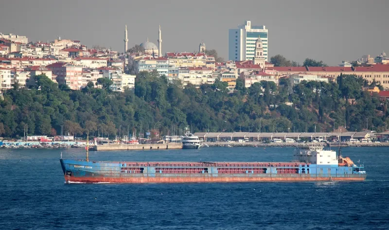 VALERY KOKOV General Cargo IMO 8859328 photo 8