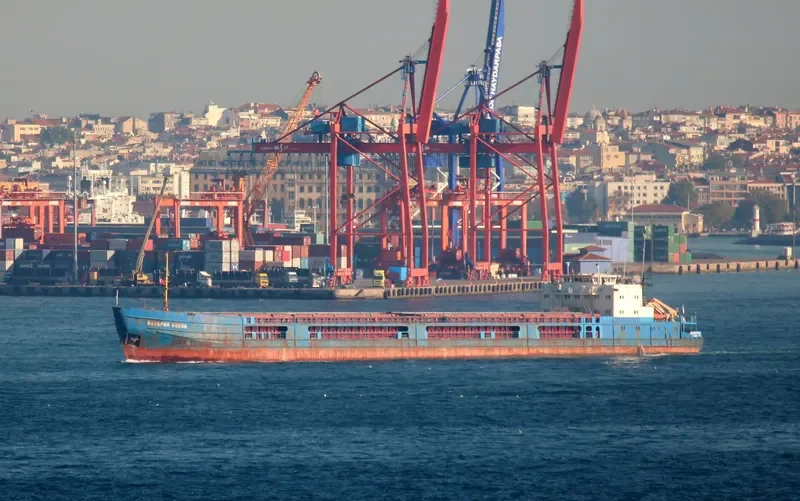 VALERY KOKOV General Cargo IMO 8859328 photo 9