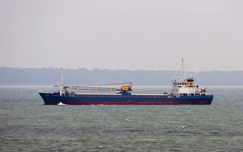 LAYAR ANGGUN 8 General Cargo IMO 8859378