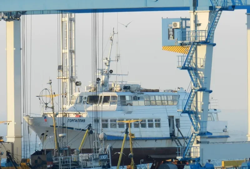 GORGIPPIYA Passenger Ship IMO 8859756 photo 6
