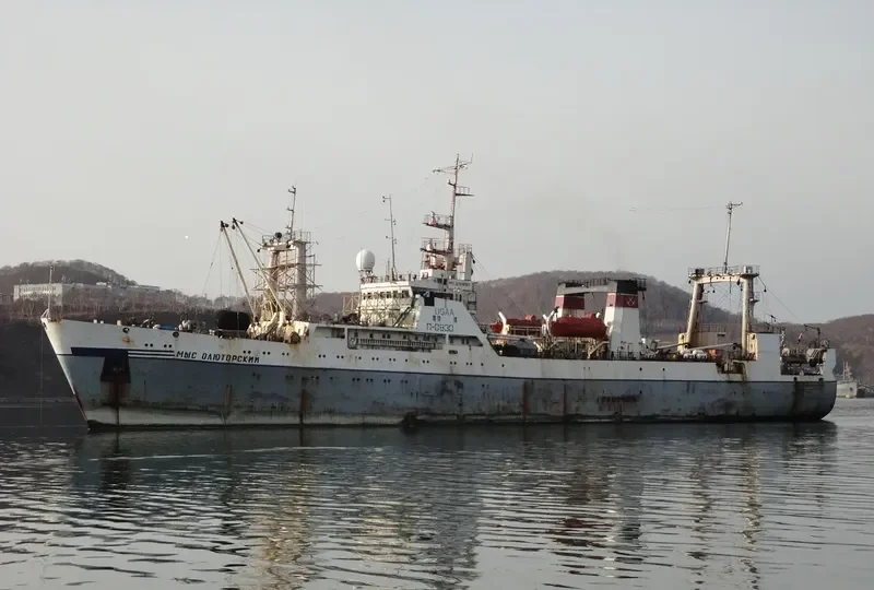 MYS OLYUTORSKIY General Cargo IMO 8859938