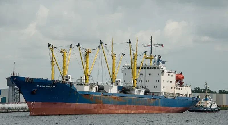 SEA FUTURE General Cargo IMO 8860444 photo 8