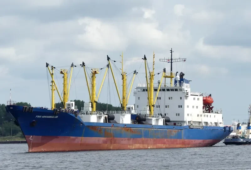 SEA FUTURE General Cargo IMO 8860444 photo 10