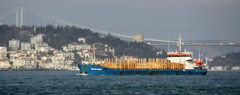 SEAMARK General Cargo IMO 8861034 photo 9