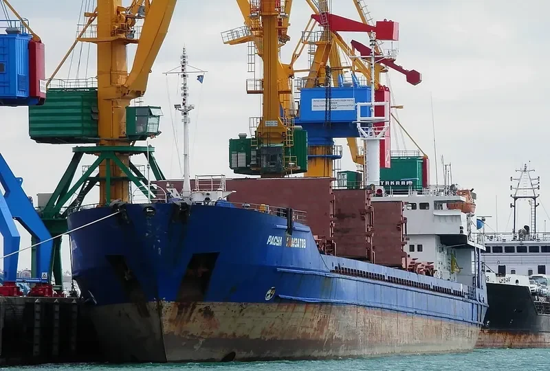 RASUL GAMZATOV General Cargo IMO 8861058 photo 3