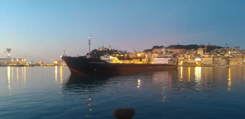 CAPTAIN IVAN VIKULOV General Cargo IMO 8862038 photo 2