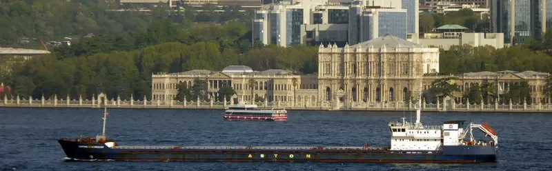 CAPTAIN IVAN VIKULOV General Cargo IMO 8862038 photo 4