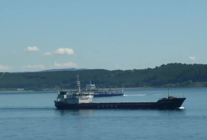 CAPTAIN IVAN VIKULOV General Cargo IMO 8862038 photo 6