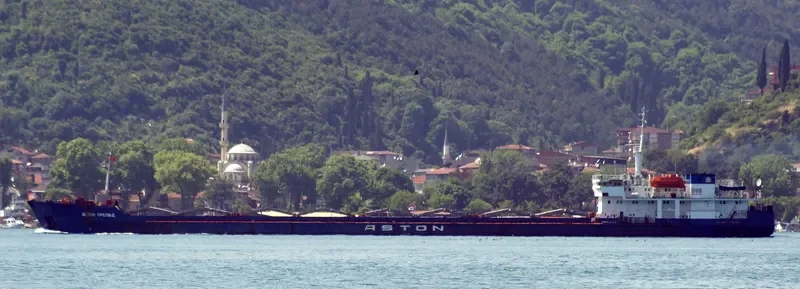 CAPTAIN IVAN VIKULOV General Cargo IMO 8862038 photo 9