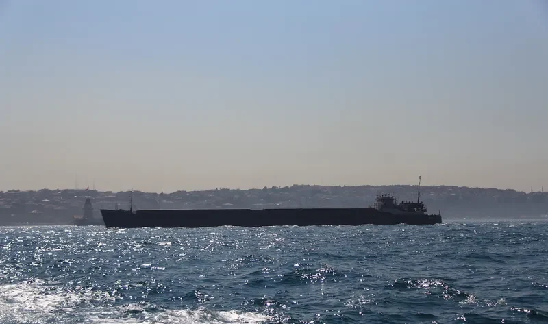 NIKOLAY MESHKOV General Cargo IMO 8862507 photo 4