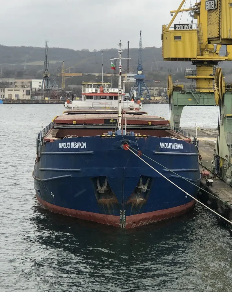 NIKOLAY MESHKOV General Cargo IMO 8862507 photo 8
