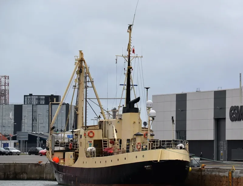 SOLOVEN General Cargo IMO 8862569 photo 5