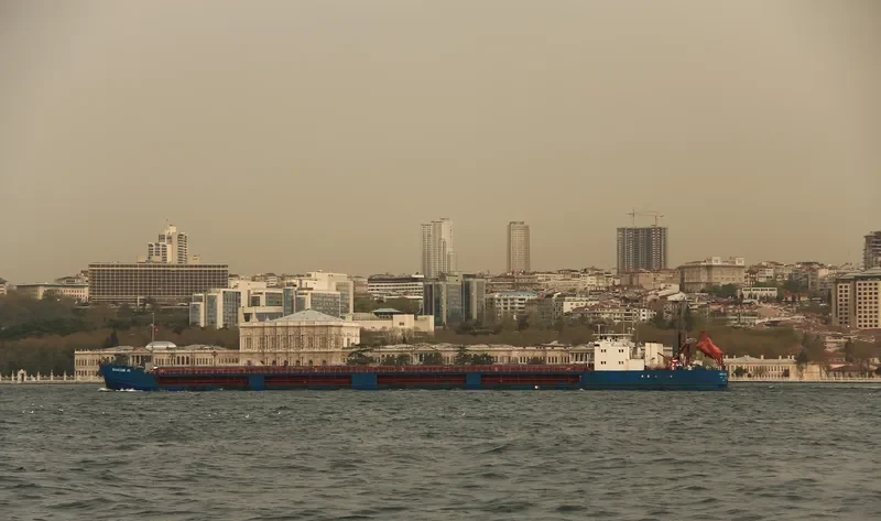 VOLZHSKIY 45 General Cargo IMO 8862703 photo 2