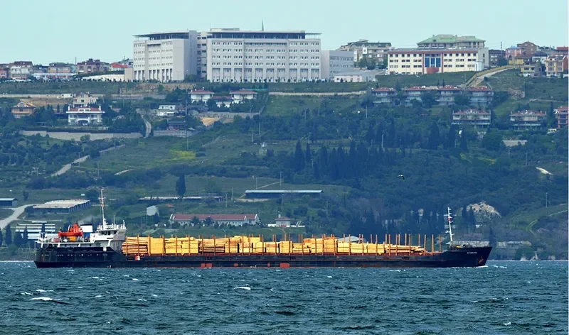 BLACK EAGLE General Cargo IMO 8862789