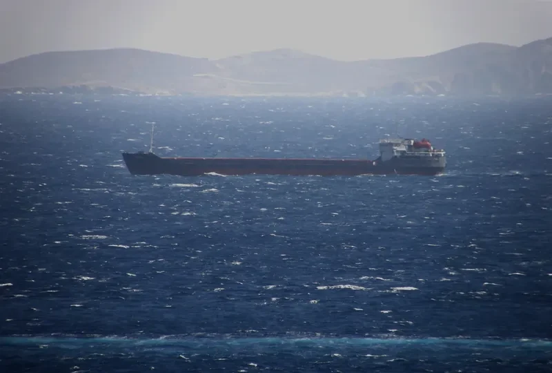 BLACK EAGLE General Cargo IMO 8862789 photo 2