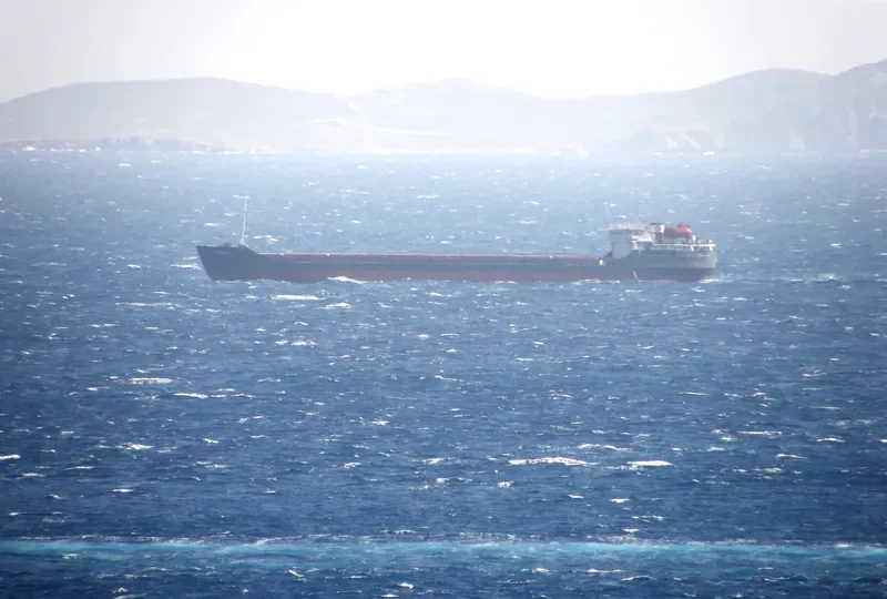 BLACK EAGLE General Cargo IMO 8862789 photo 3