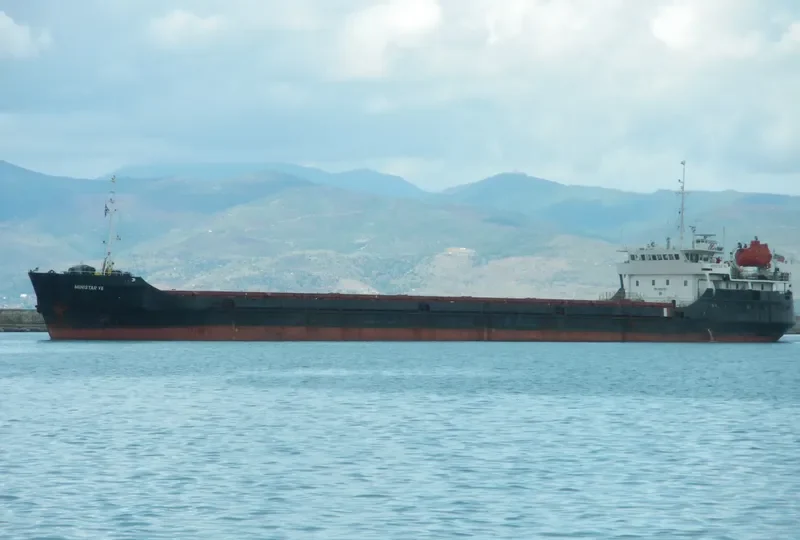 BLACK EAGLE General Cargo IMO 8862789 photo 6