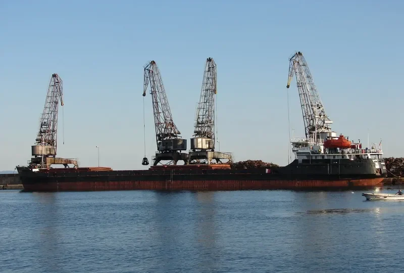 BLACK EAGLE General Cargo IMO 8862789 photo 9