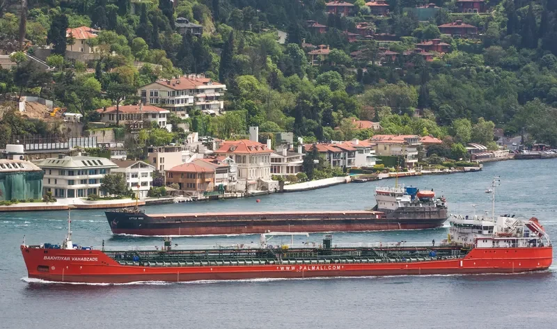 LITTLE WIND General Cargo IMO 8863018 photo 2