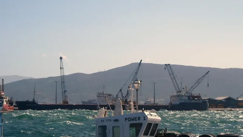 LITTLE WIND General Cargo IMO 8863018 photo 6