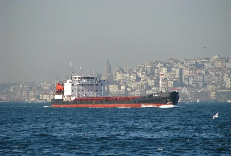 VOLMORE General Cargo IMO 8865951 photo 4