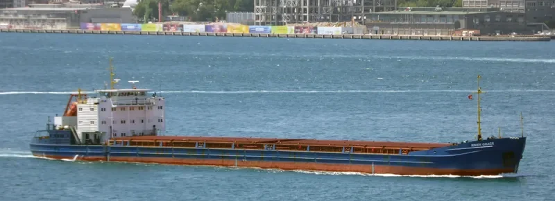 RIVER GRACE General Cargo IMO 8865963 photo 2
