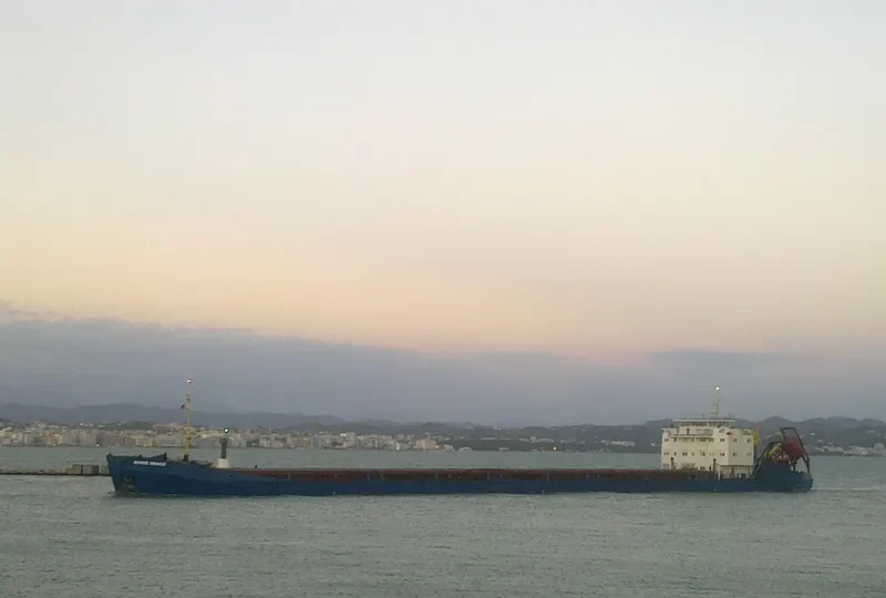 RIVER GRACE General Cargo IMO 8865963 photo 3