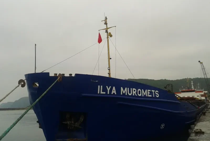 ILYA MUROMETS General Cargo IMO 8866333