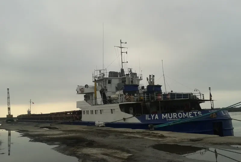 ILYA MUROMETS General Cargo IMO 8866333 photo 2