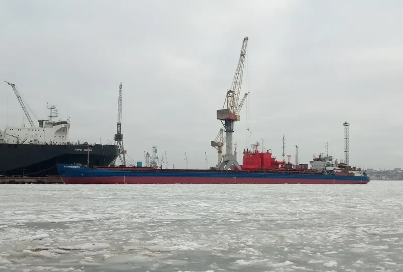 ILYA MUROMETS General Cargo IMO 8866333 photo 4
