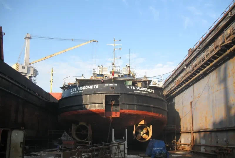 ILYA MUROMETS General Cargo IMO 8866333 photo 5