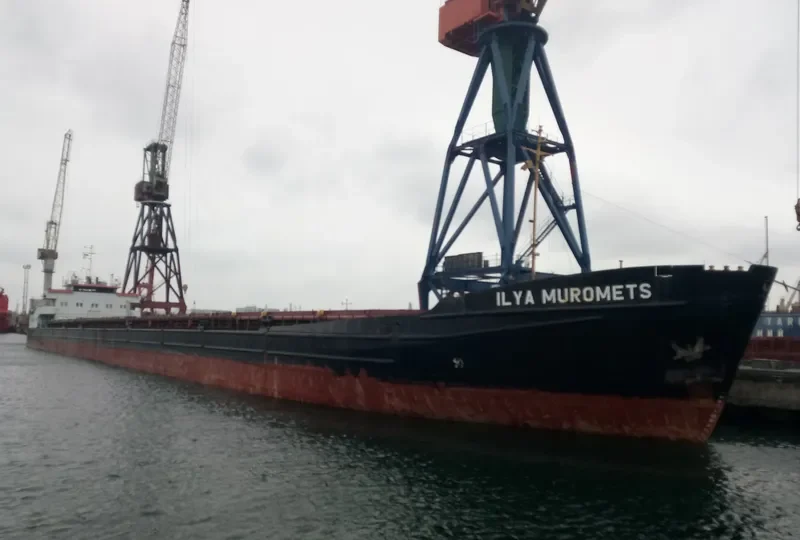 ILYA MUROMETS General Cargo IMO 8866333 photo 9
