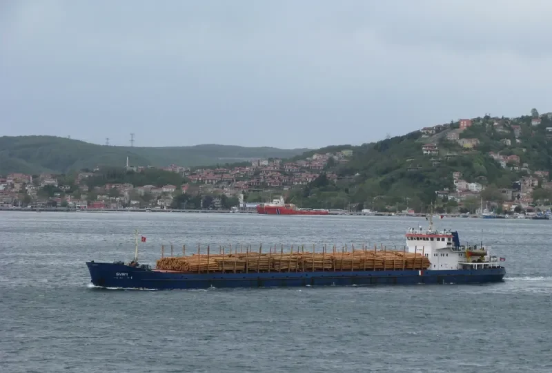 SVIR General Cargo IMO 8866694 photo 9