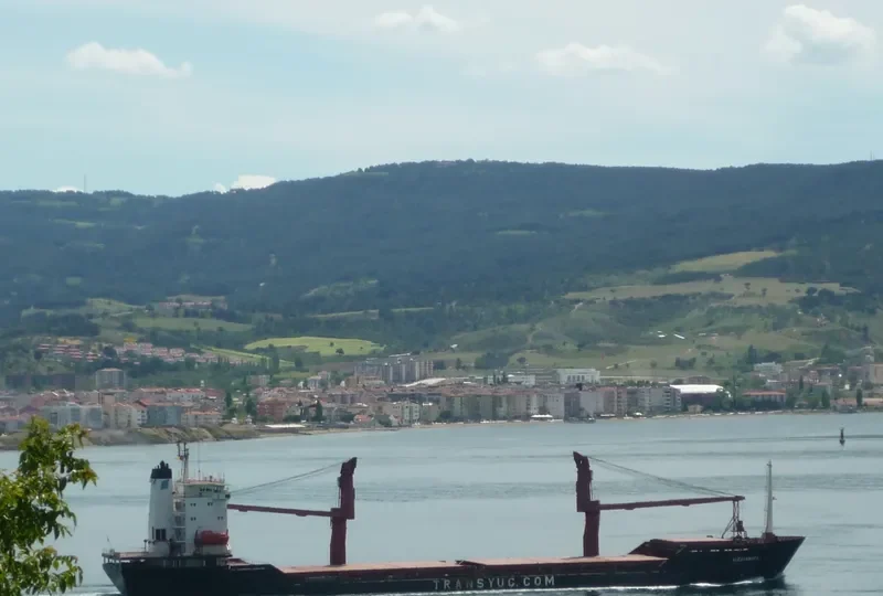 ALEKSANDR LEBED General Cargo IMO 8866826 photo 8
