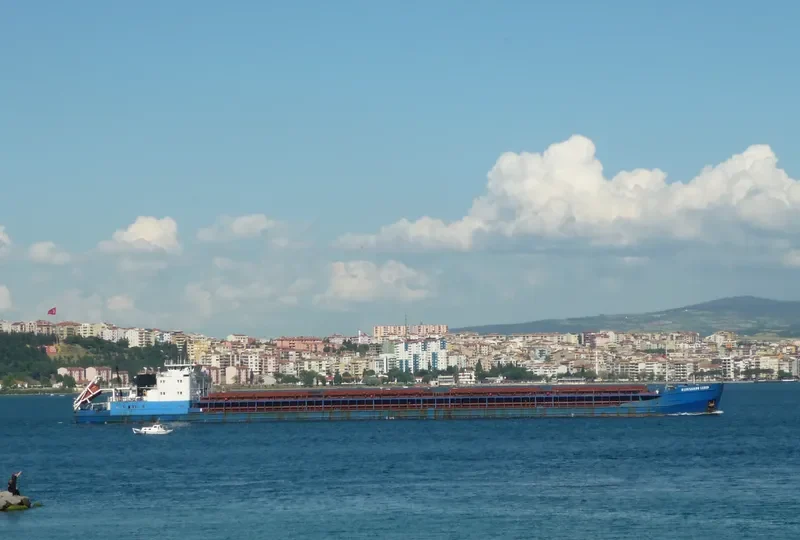 ALEKSANDR LEBED General Cargo IMO 8866826 photo 9
