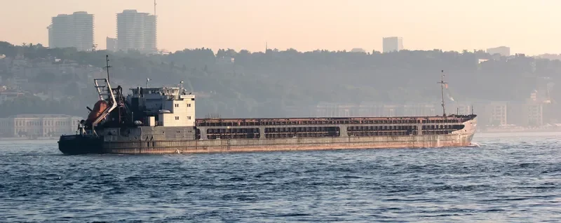 SVYATOGOR General Cargo IMO 8866840 photo 7