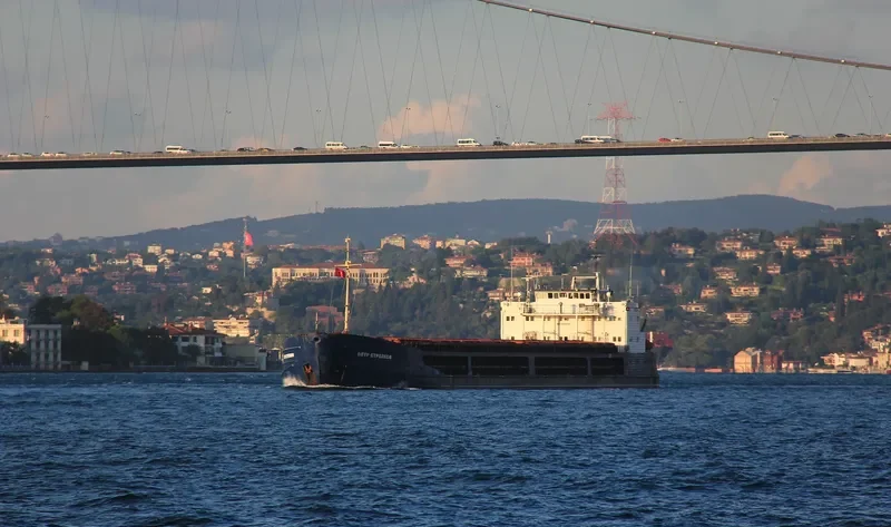 SVYATOGOR General Cargo IMO 8866840 photo 10
