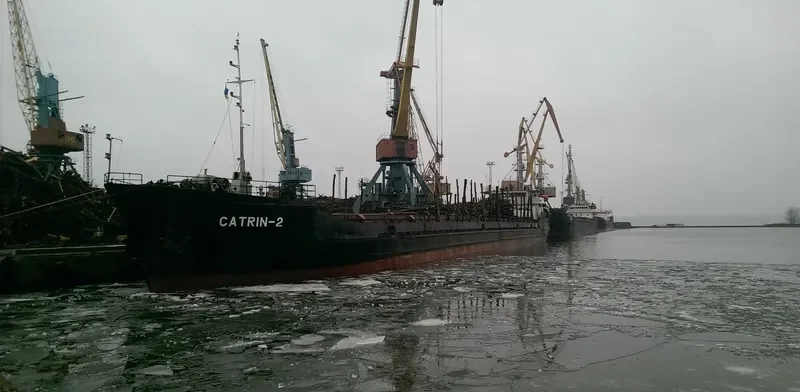 PALLADA General Cargo IMO 8866931 photo 3